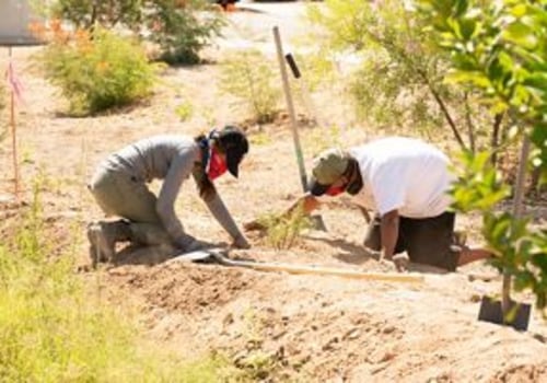 What Non-Profit Organizations in Maricopa County Do